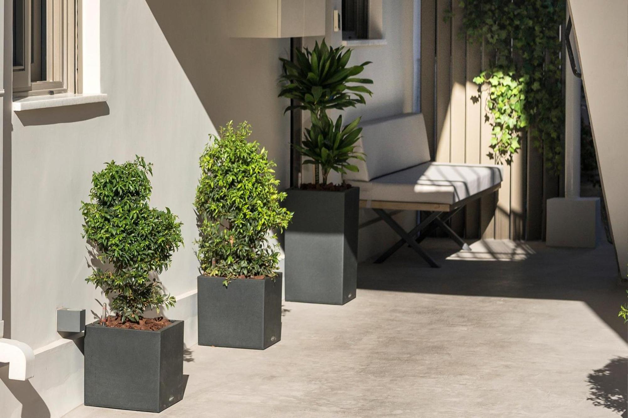 Π Suite Project: Smart Bnb Chania  Exteriér fotografie